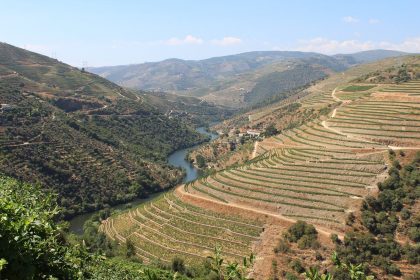 Douro-völgy