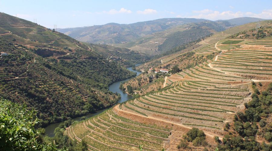 Douro-völgy