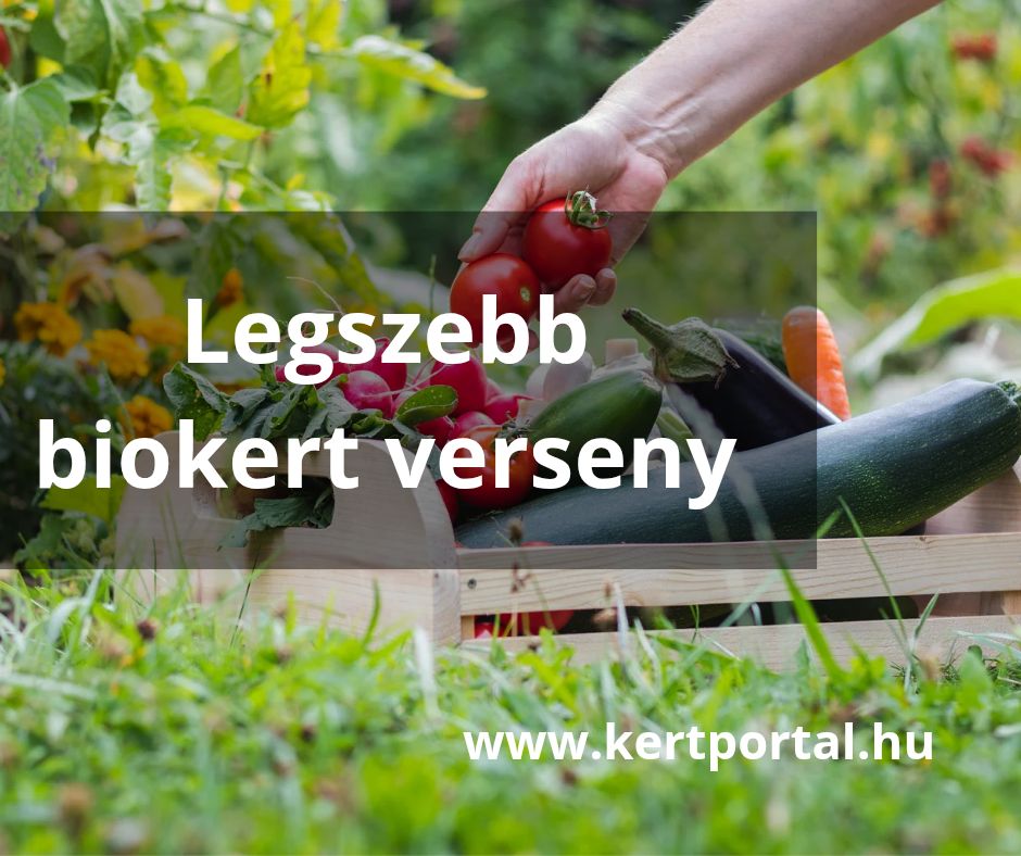 legszebb biokert verseny