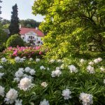 Püspökszentlászlói Arborétum