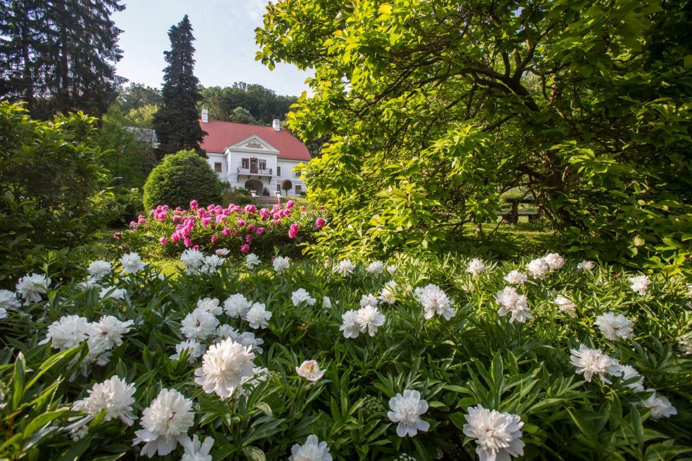 Püspökszentlászlói Arborétum