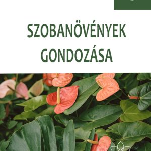 SZOBANÖVÉNYEK GONDOZÁSA