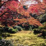 arborétum