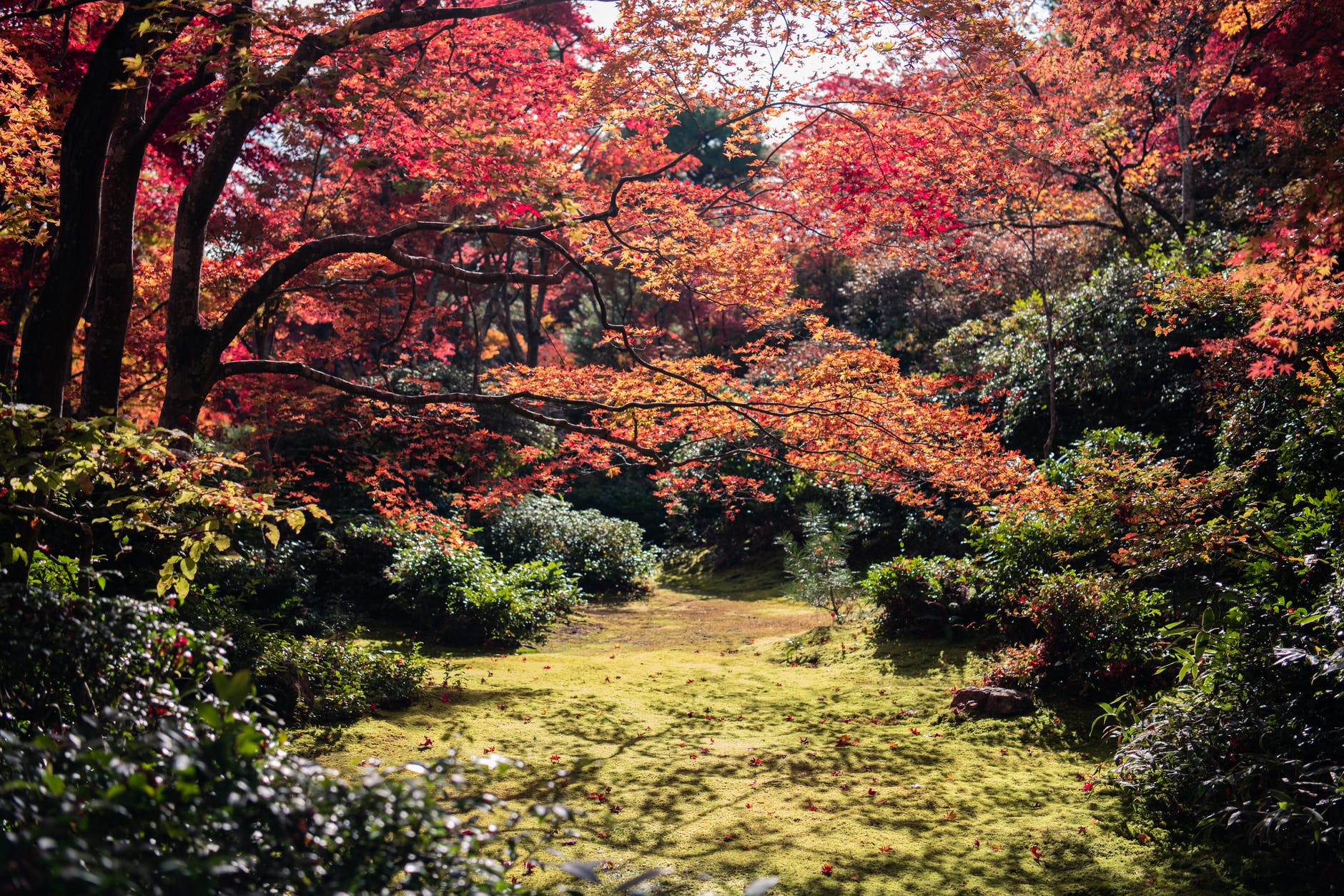 arborétum