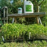 danubagarden termékteszt ascoalga kelpak