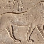 egyiptomi állatkerti történelem