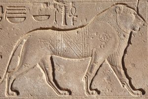 egyiptomi állatkerti történelem