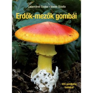 erdok-mezok-gombai