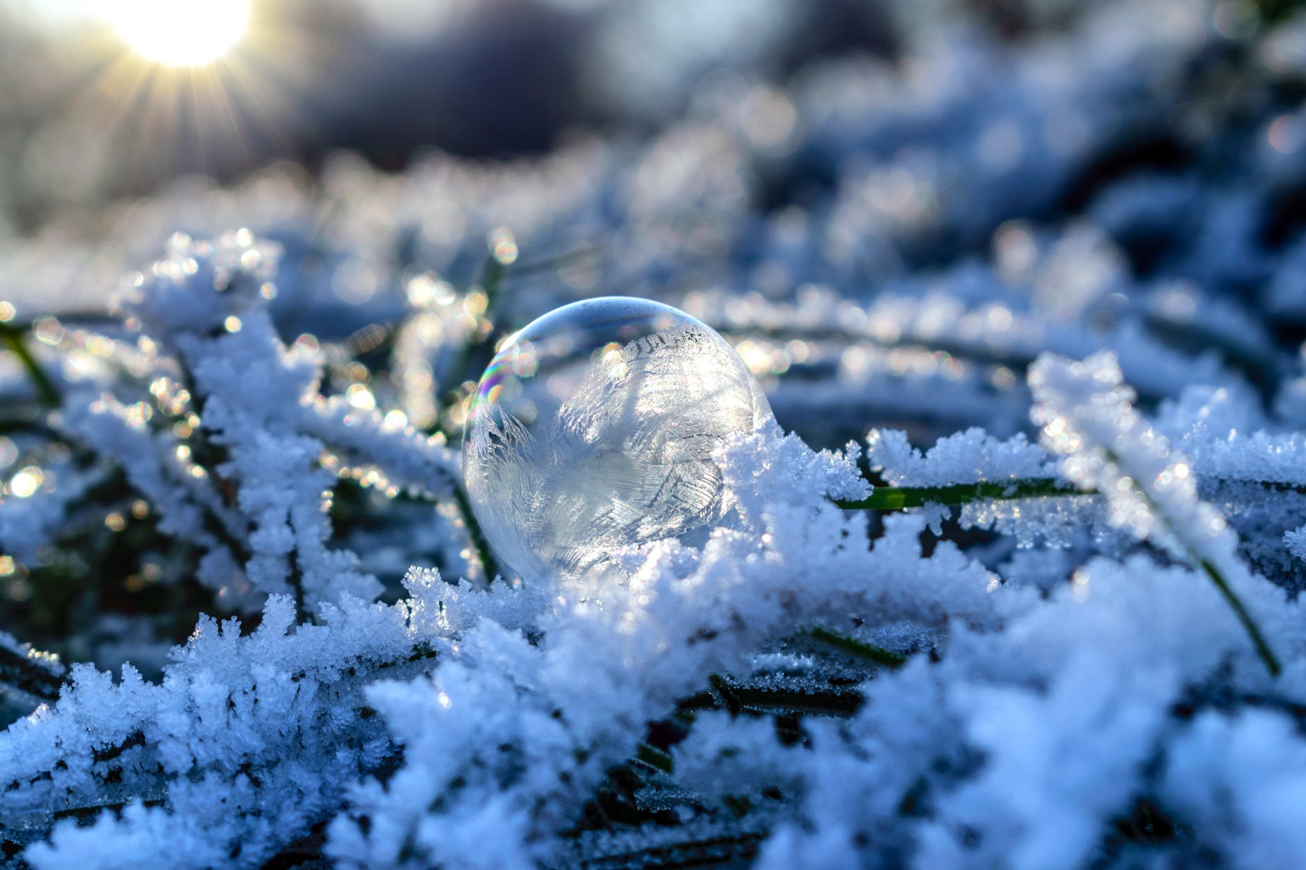 graupel hódara