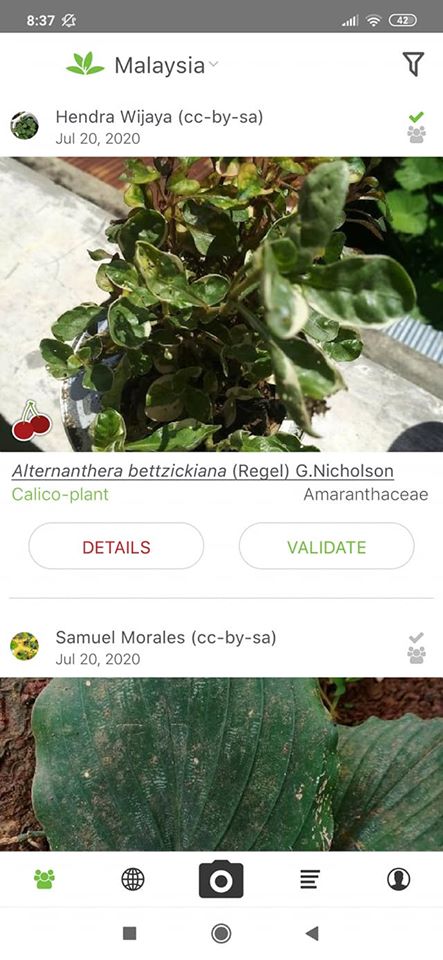 PlantNet - kertapp