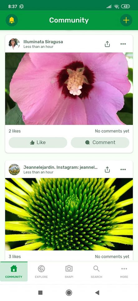 PlantSnap - kertapp