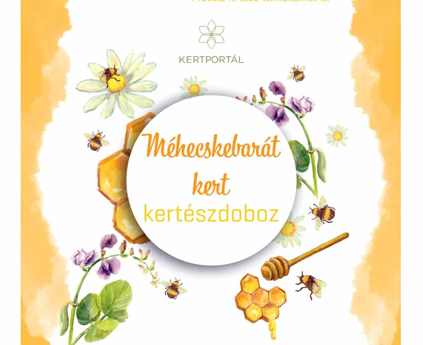 mehecskebarat-kerteszdoboz-borito