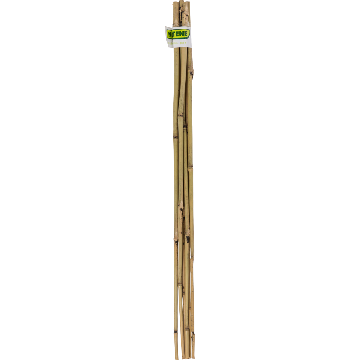 Bambusz N v nyt maszt k 60 Cm Kertport l Topor Erika Naturkert sz bambusz-n-v-nyt-maszt-k-60-cm-kertport-l-topor-erika-naturkert-sz