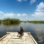 több száz hektár égett le a Balatonnál