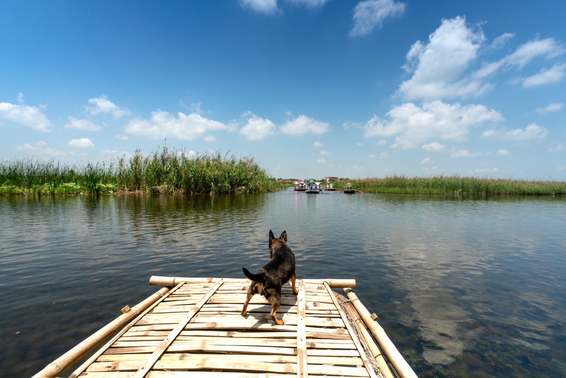 több száz hektár égett le a Balatonnál